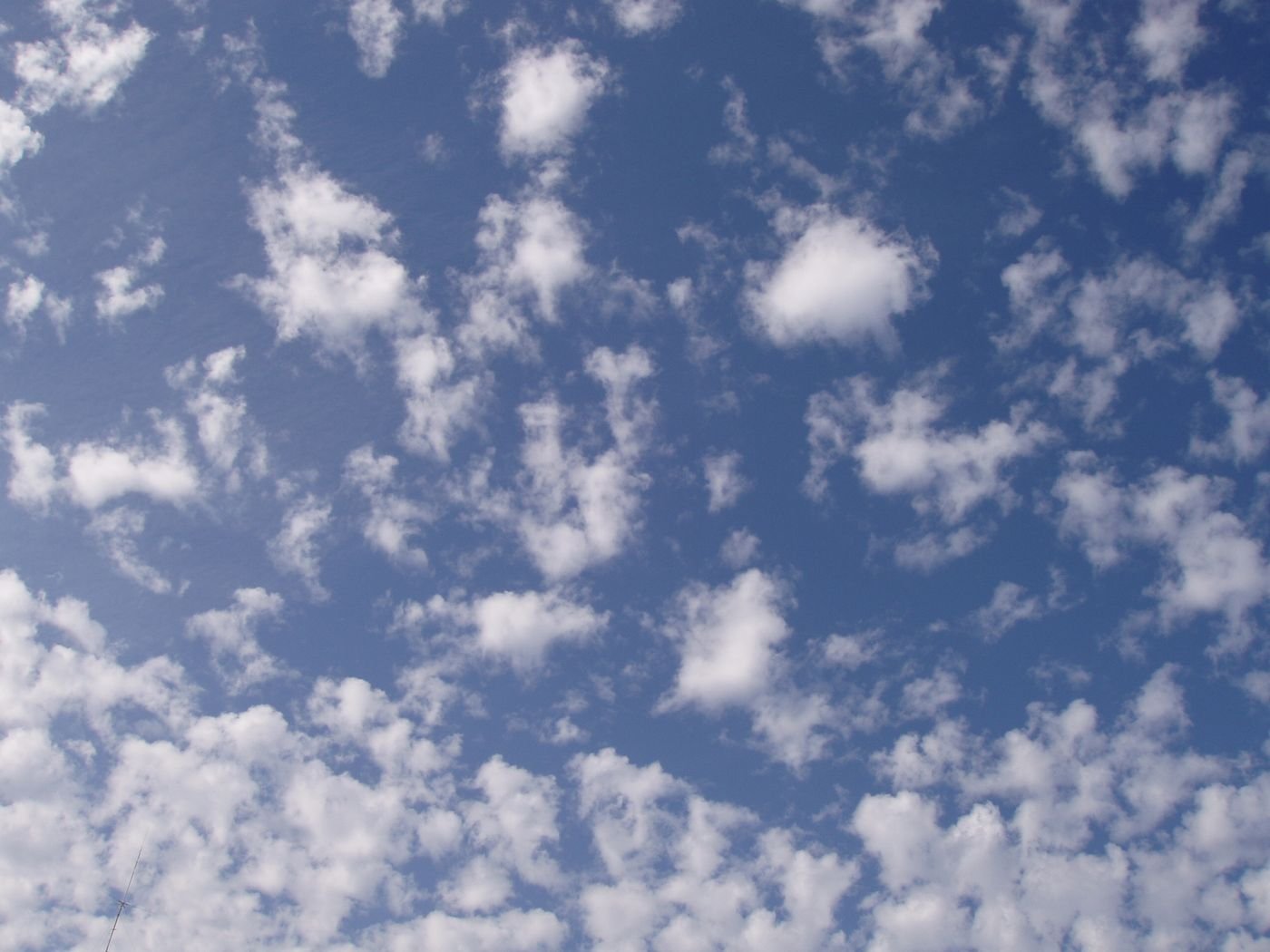 Altocumulus em pequenos flocos brancos e cinza agrupados no céu.